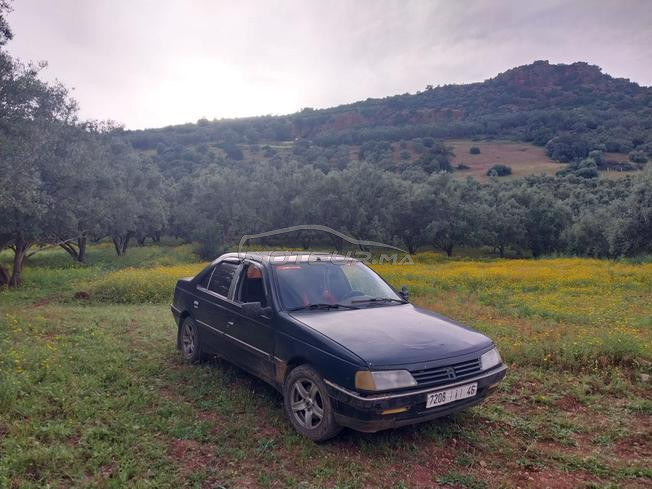 Peugeot405