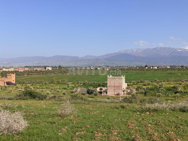 Terrain route de l ourika - 2