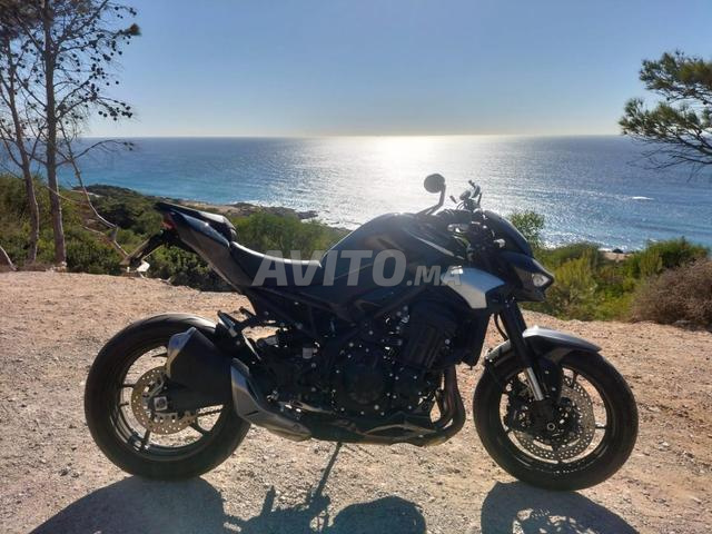كاواساكي Z900 2025 - 2