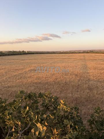 8 hectares à vendre - 2