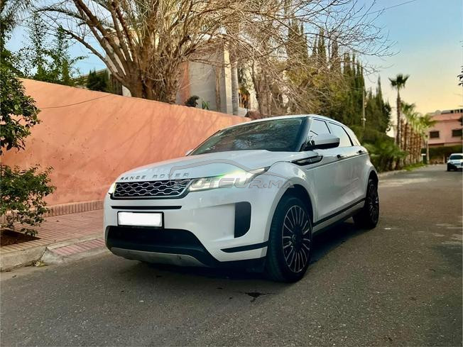 range Rover bébé velar 