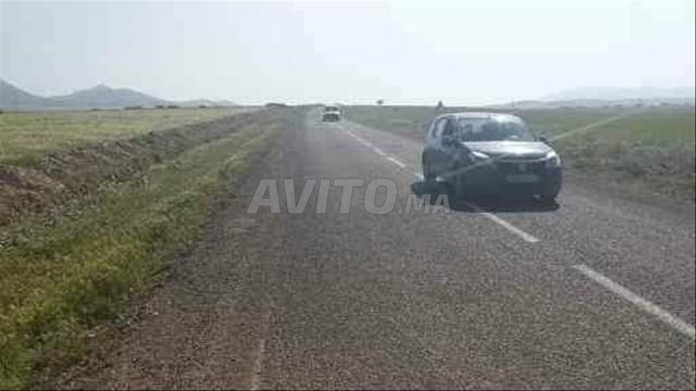 أرض فلاحية قريبة من وجدة والمطار - 2