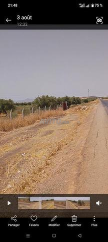Terrain à vendre Ain Allah sur la route 2 hectares prix 280