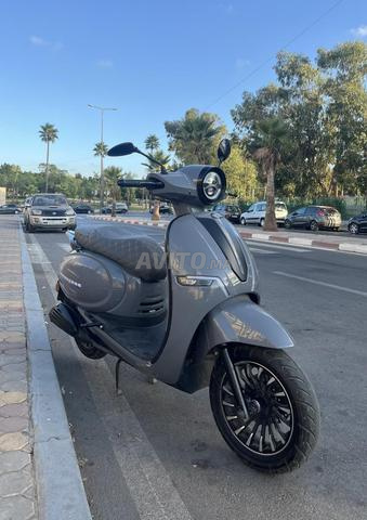 كابوتشينو للبيع - 2