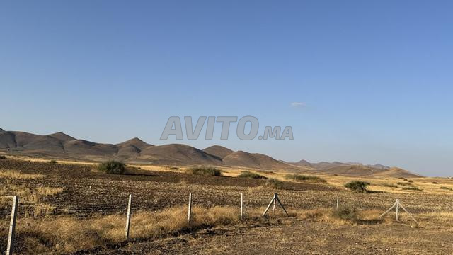 Terrain titré 2,4 ha – Vue Atlas – Jbilets - 2