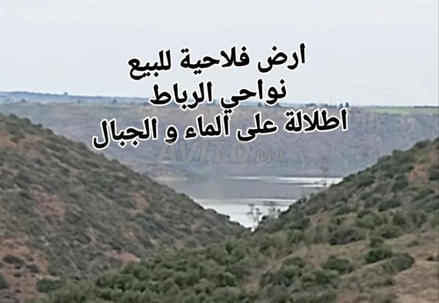 أرض 3 هكتار لفيلا بمساحة 600 متر مربع منطقة المنزه
