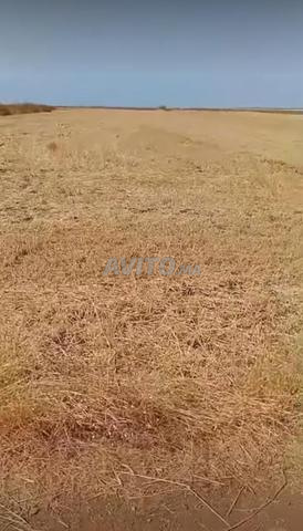 أرض للبيع - 2