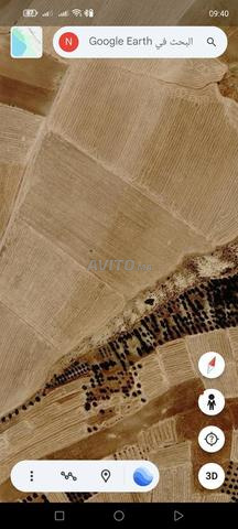 5 hectares de terrain agricole conservé à vendre