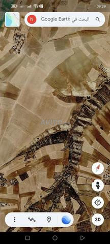 5 hectares de terrain agricole conservé à vendre - 2
