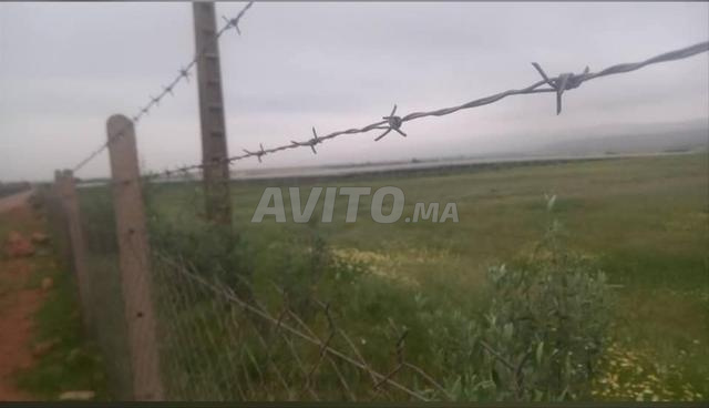 11 hectares à vendre - 2