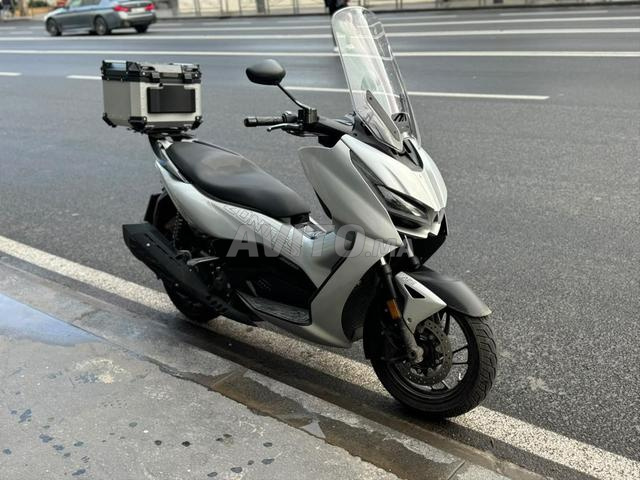 زونتس 350D موديل 2025 - 2