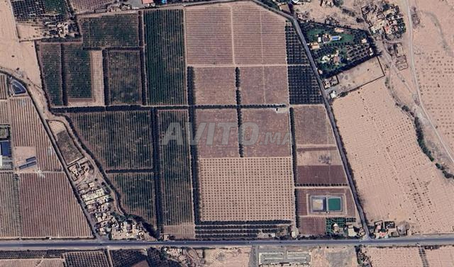 Magnifique domaine agricole de 43 hectares - 2