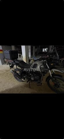 Himalayan 411 - 2
