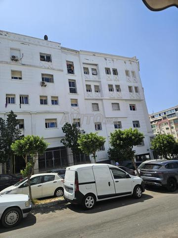 Appartement meublé à louer pour étudiantes ou familles - 2
