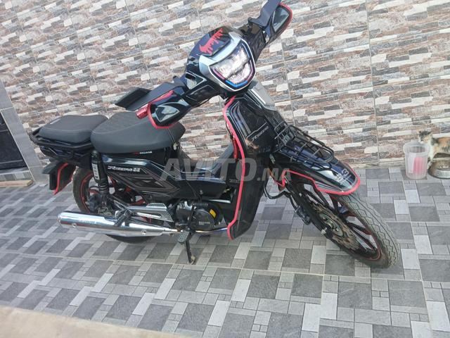 33 moto - 2