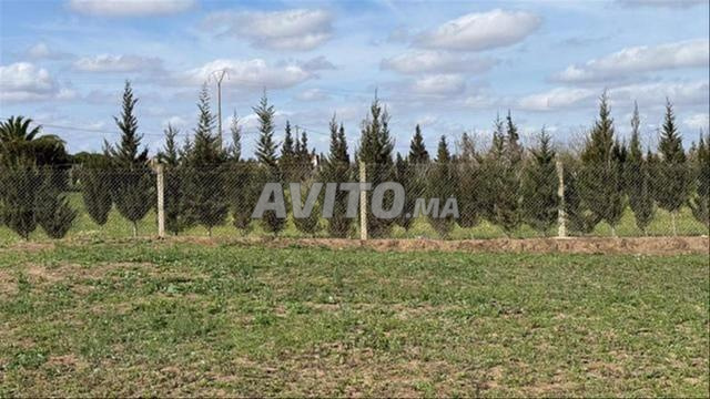 أراضٍ محفظة بئر جديد للبيع للفلاحة والاستثمار - 2