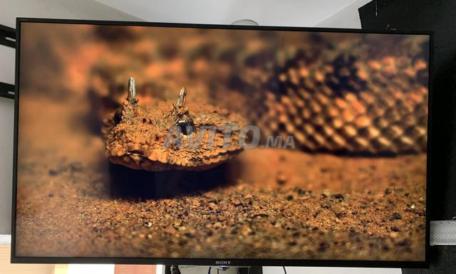 Sony 49 4K - 2