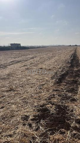 Terrain titré de 6ha à vendre – Casablanca - 2