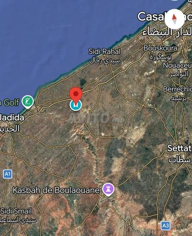 أرض فلاحية بامتياز نواحي الجديدة - 2