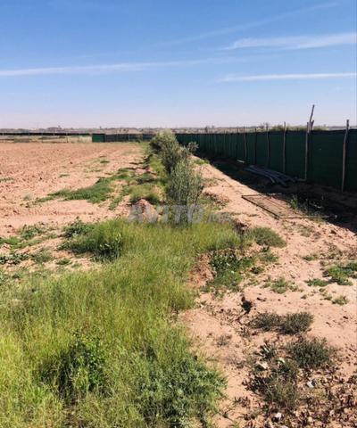 A vendre terrain Issen titré juste 30km d’agadir