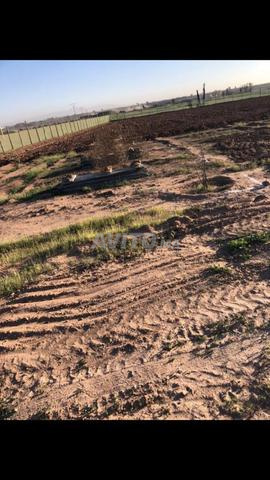 A vendre terrain Issen titré juste 30km d’agadir - 2