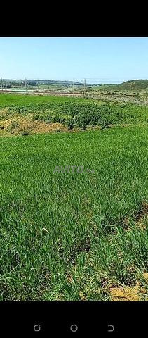 Bonjour, terre fertile et excellente opportunité