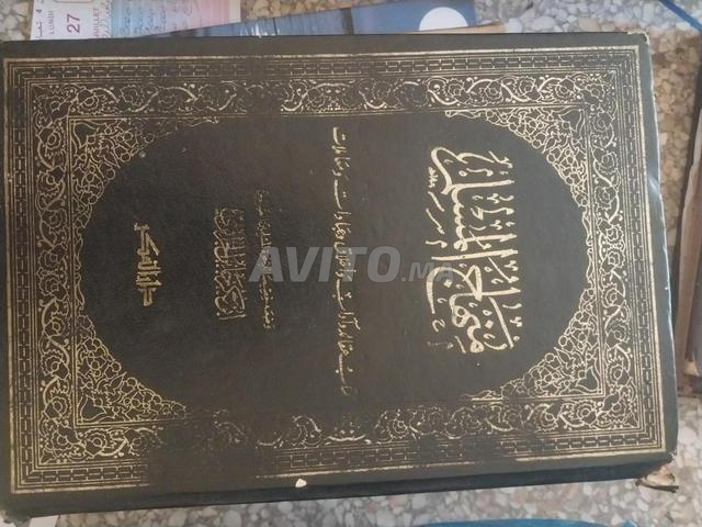 عين بورجة - 2