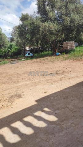 أرض ملكية للبيع بمنطقة الحجرين طنجة - 2