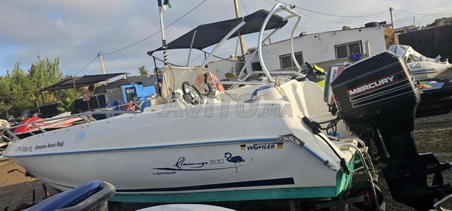 Bateau de pêche touristique rapide - 2