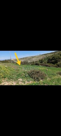 أرض مطلة على البحر - 2