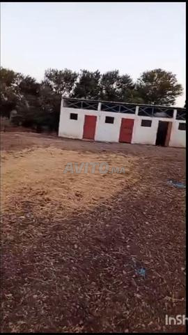 Excellente ferme 3.5 hectares - 2