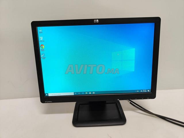 شاشة HP LE1901w - 19 بوصة - حالة ممتازة