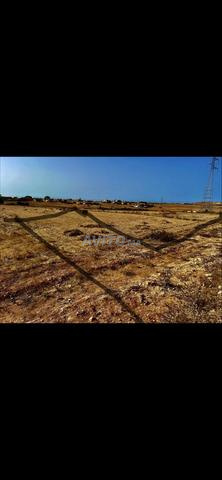 Terrain à vendre