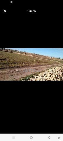 أرض فلاحية للبيع نواحي الجديدة - 2