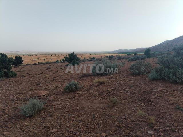(8) hectares de terrain agricole et pastoral