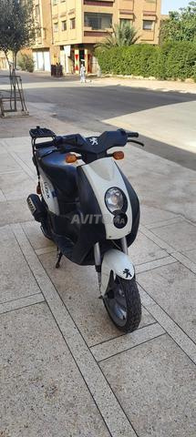 Scooter Peugeot Ludix - 2