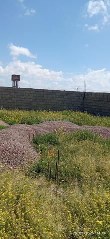 مراكش جماعة بوروس - 2