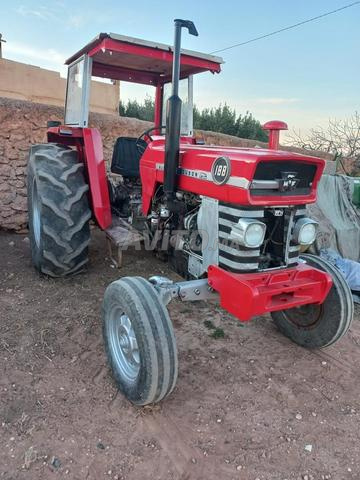 Massey Ferguson - 2