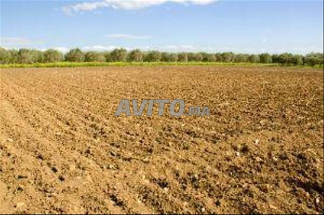 Terrains, Villas & Fermes Titrés – Sidi Rahal - 2