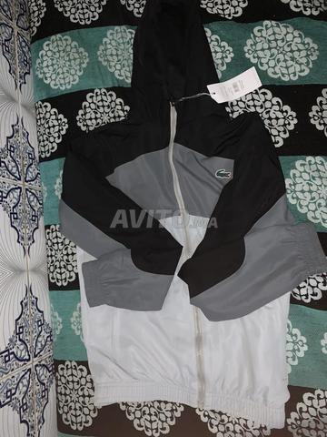 Chemise Lacoste neuve taille M/S - 2