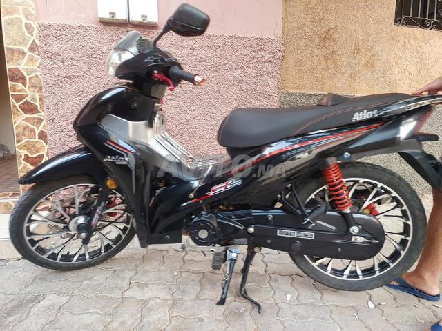 أطلس بانثر SH 50 - 2