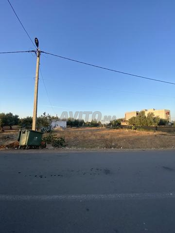 Excellente terre sur la route et maison 1200 mètres - Ain Chkef