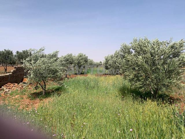 أرض للبيع طريق أمزميز مجهزة - 2