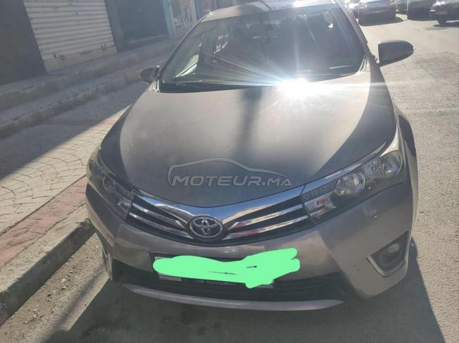 تطوان  / المدينة 