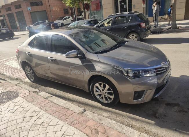 تطوان  / المدينة 