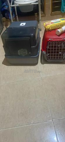 Litière et cage chat lingettes et spray - 2