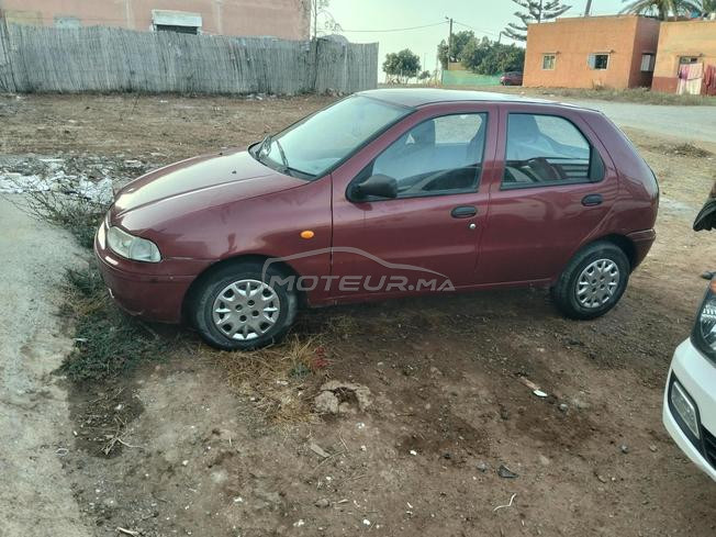 fiat palio