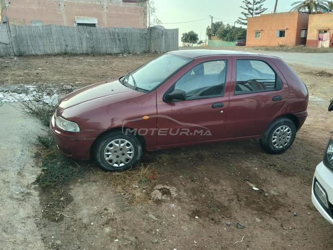 fiat palio