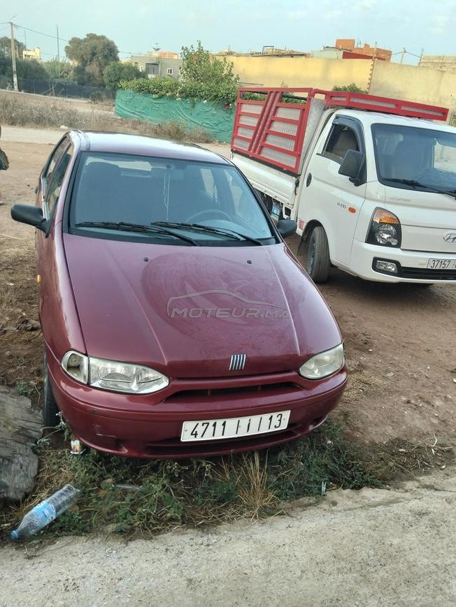 fiat.  palio
