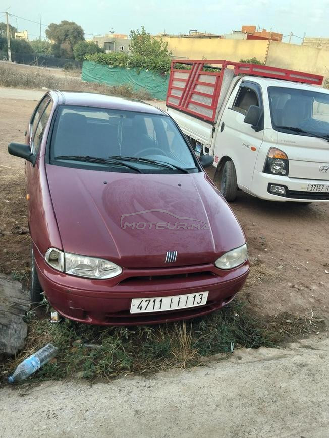 fiat.  palio